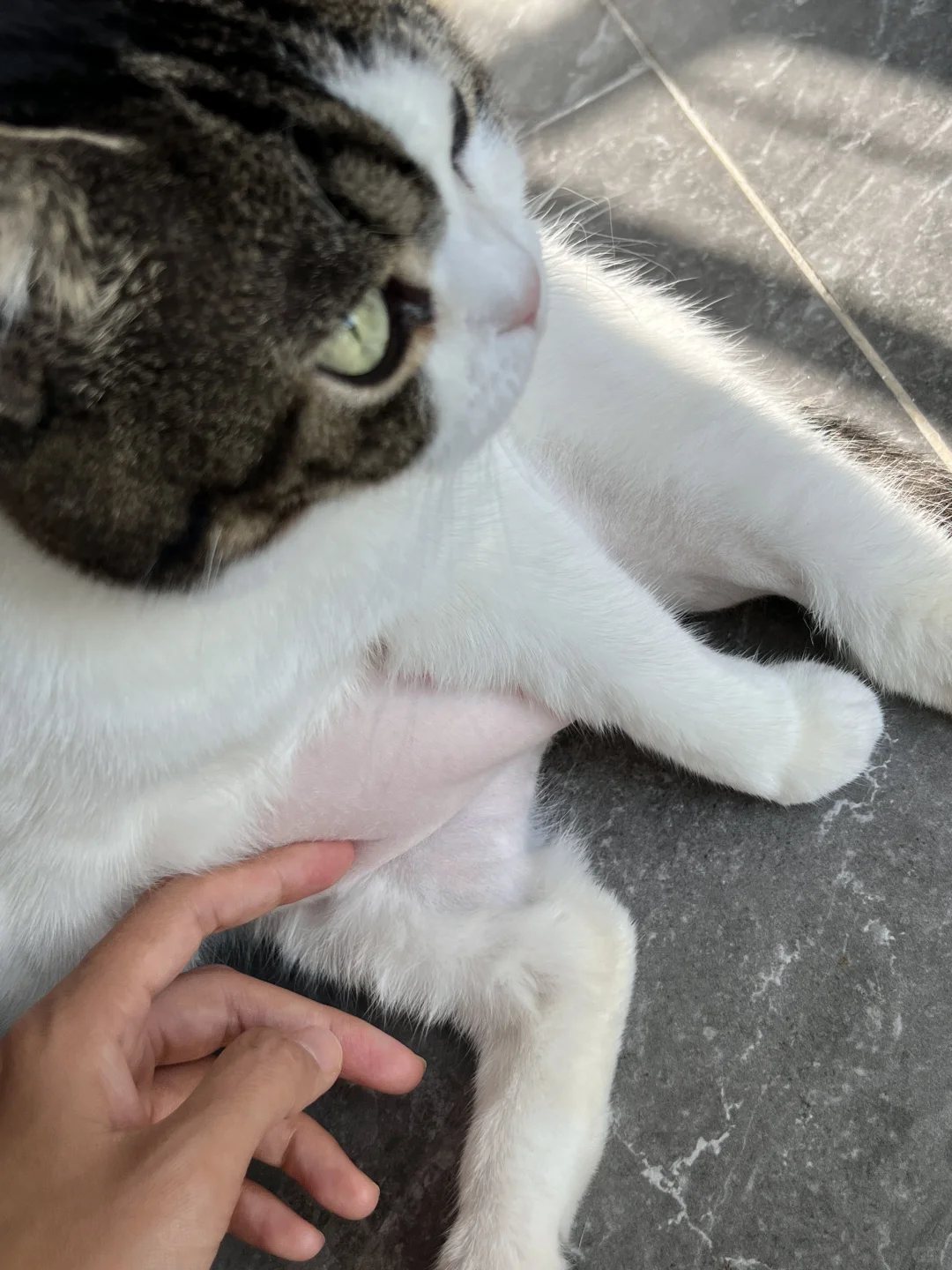 没拍到会后悔一辈子！