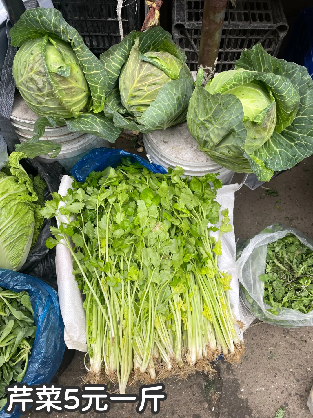 冬天是砂锅的主场！