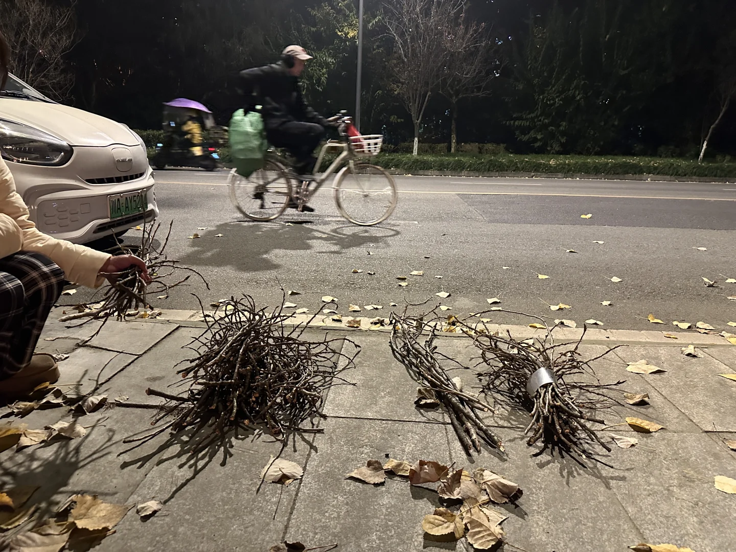 你们切星星树的人嘴是真严啊