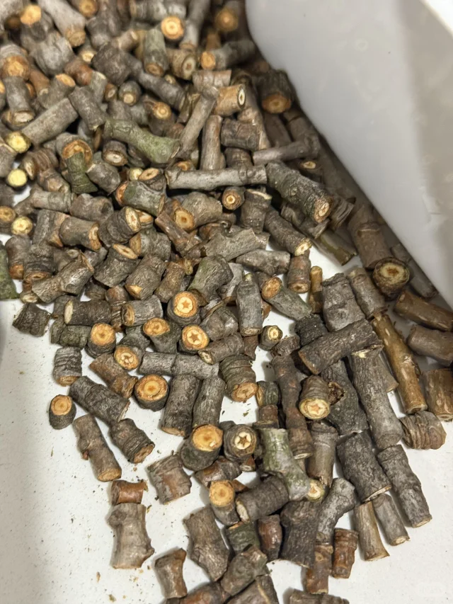 你们切星星树的人嘴是真严啊