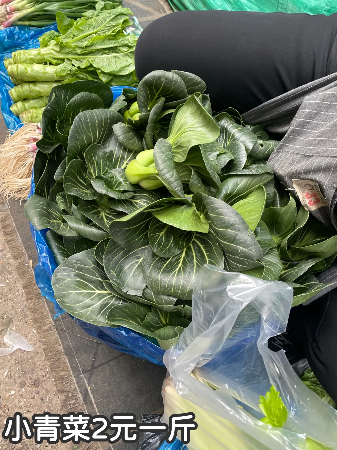 冬天是砂锅的主场！