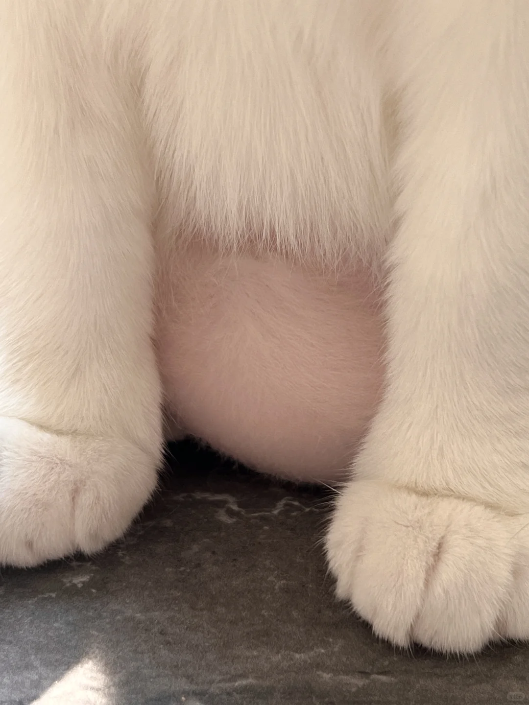 没拍到会后悔一辈子！