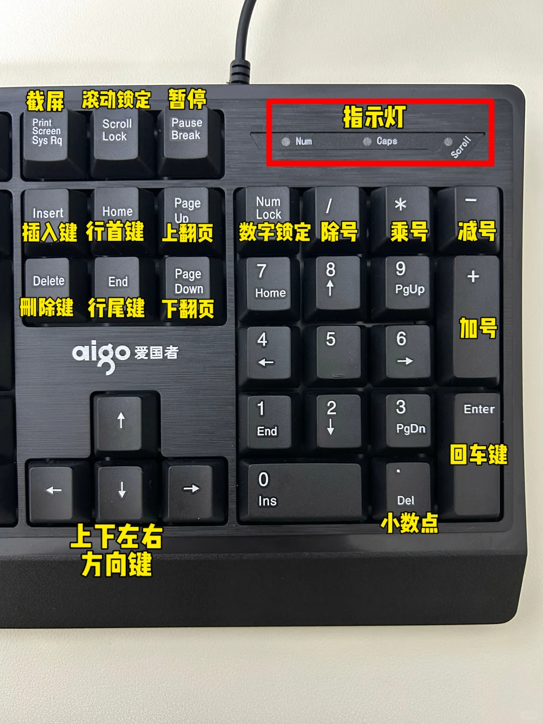 哭了😭这也太全了吧！为什么没有人告诉我🥹