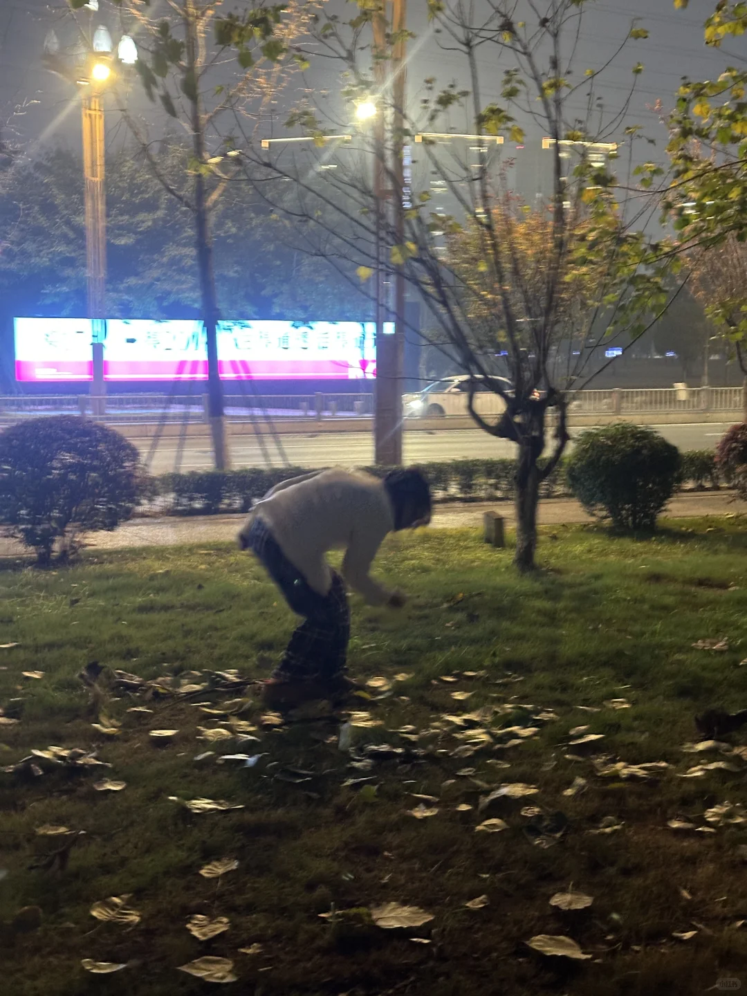 你们切星星树的人嘴是真严啊