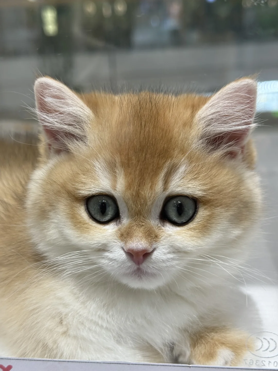 冷吗？开热点给你