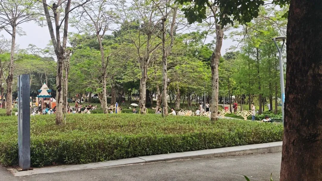你知道吗?你每天刷的社交软件,正在慢慢影响你的大脑