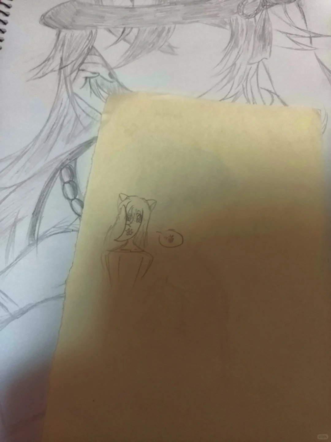 性感的小奶猫