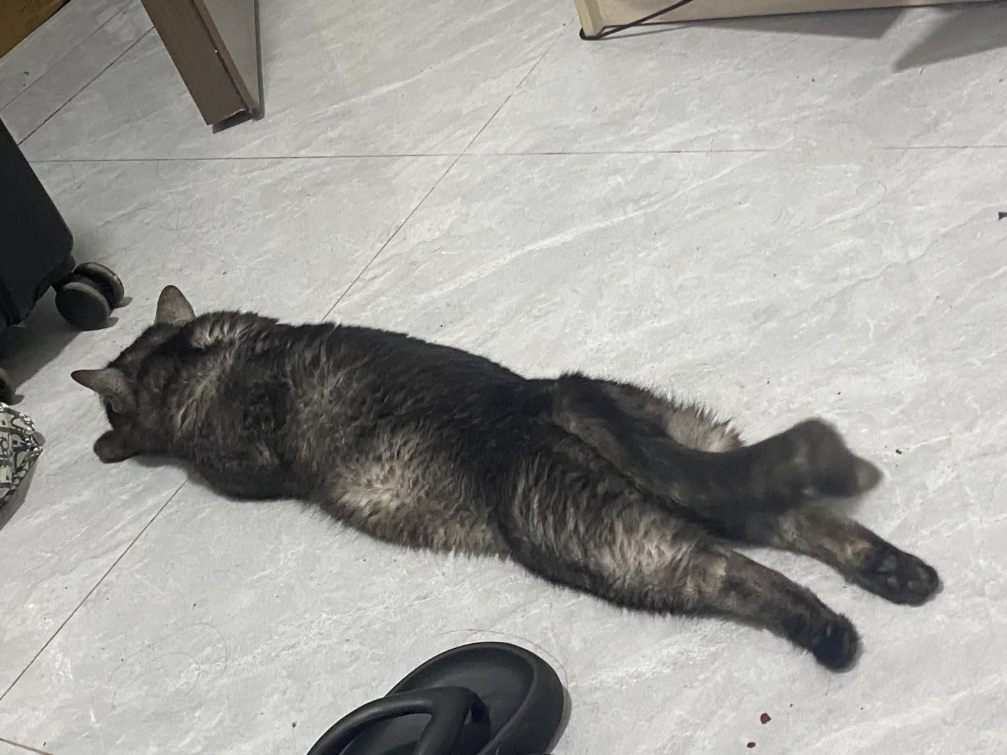 好性感的臀