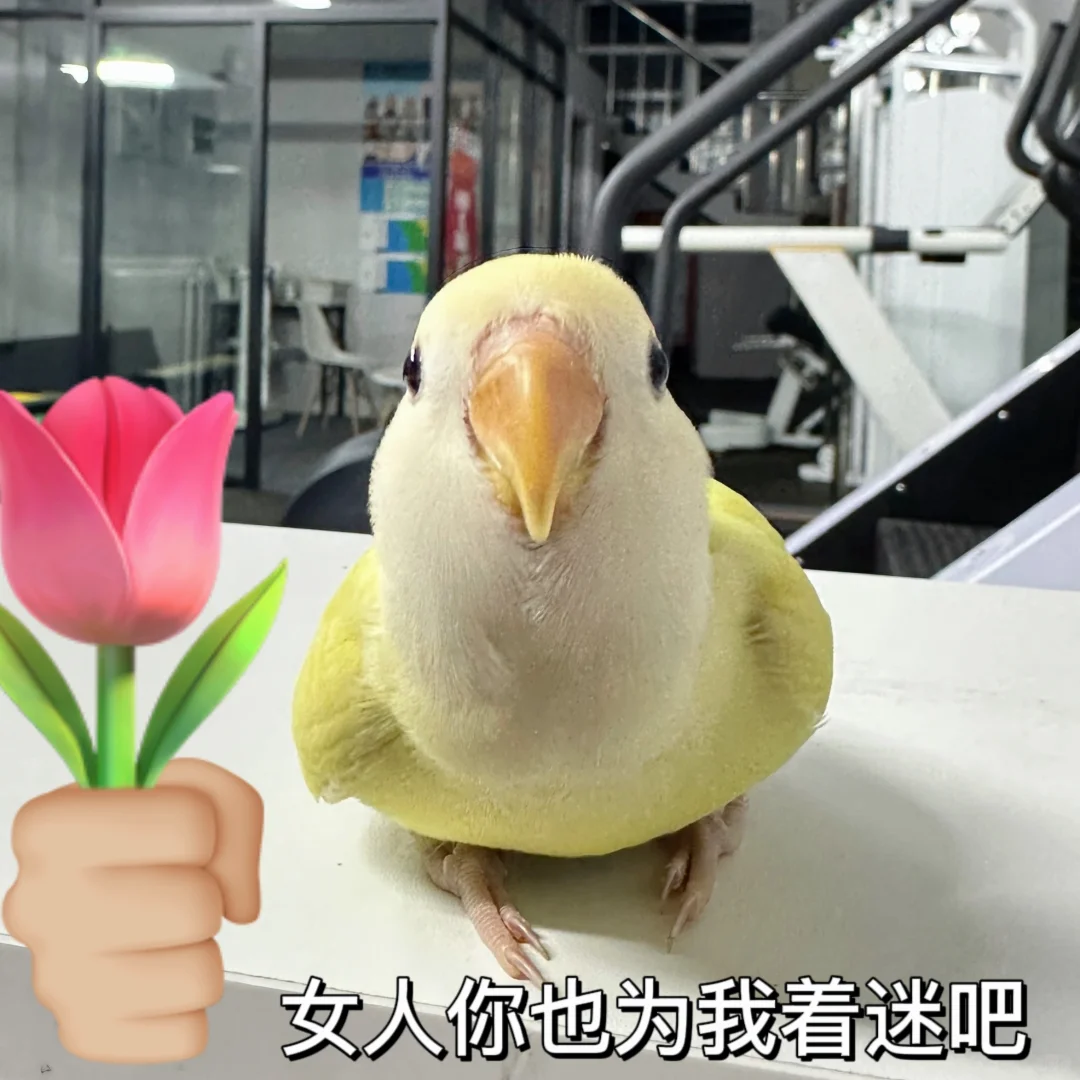 锦州健身女教练｜健身搭子🐤