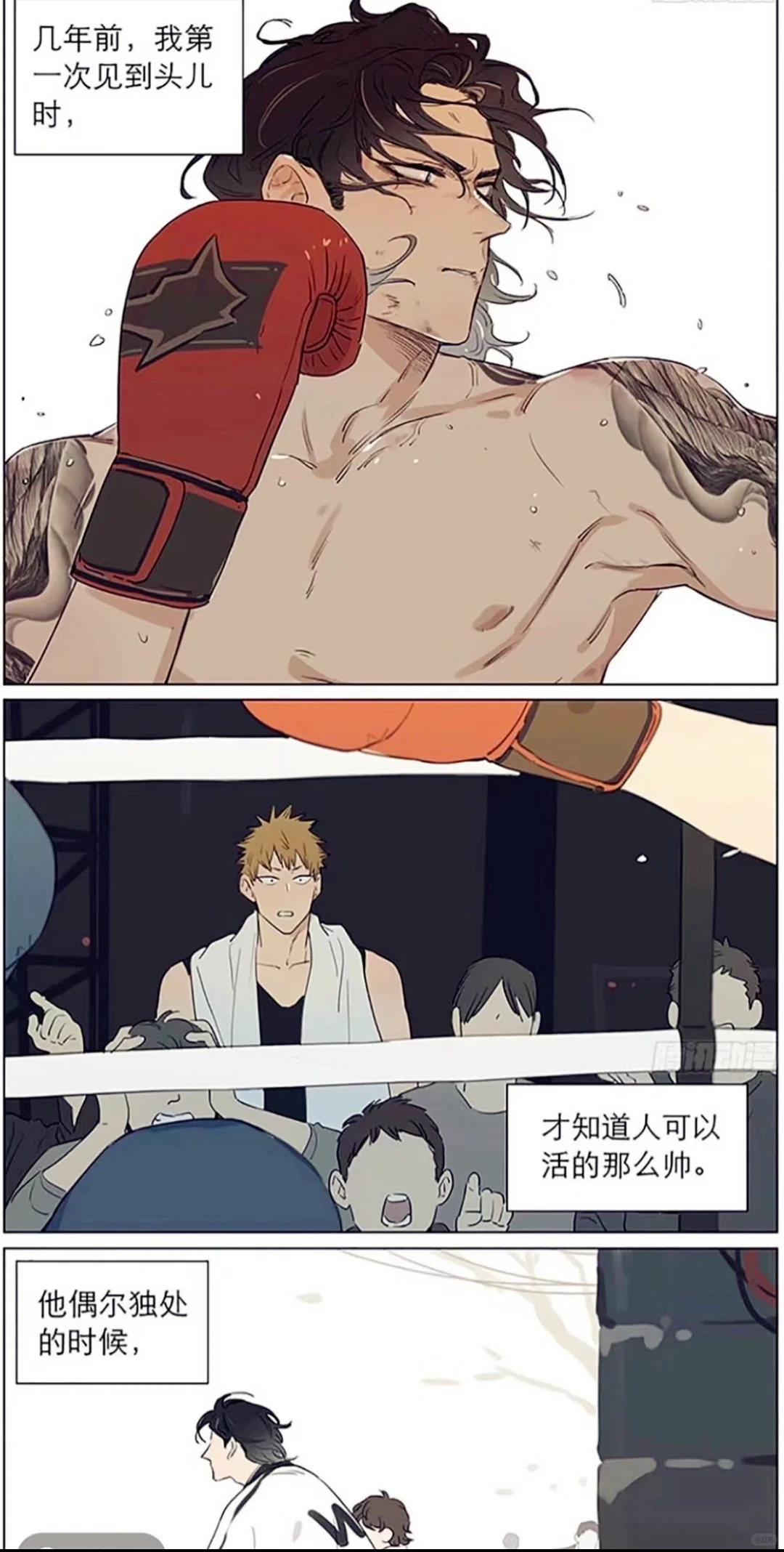 捡了东西的狼｜狼王也太性感了吧