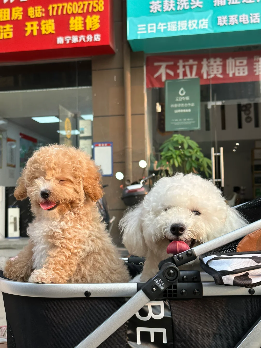 南宁安吉附近有没有健身搭子 要女孩子