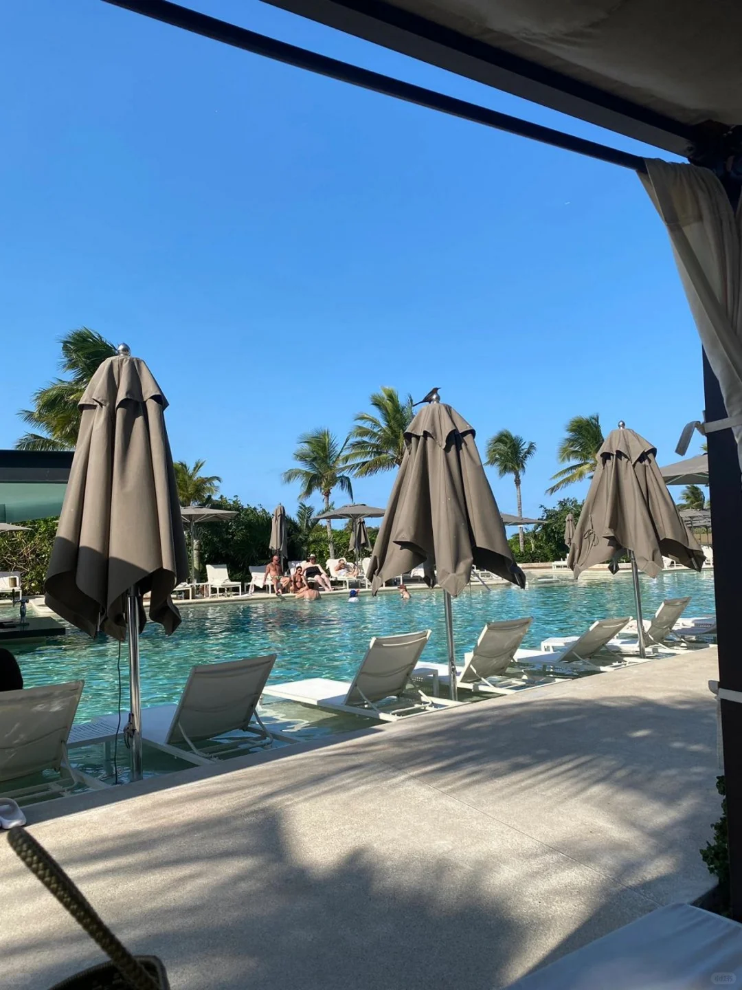 saipan~我的建议是~