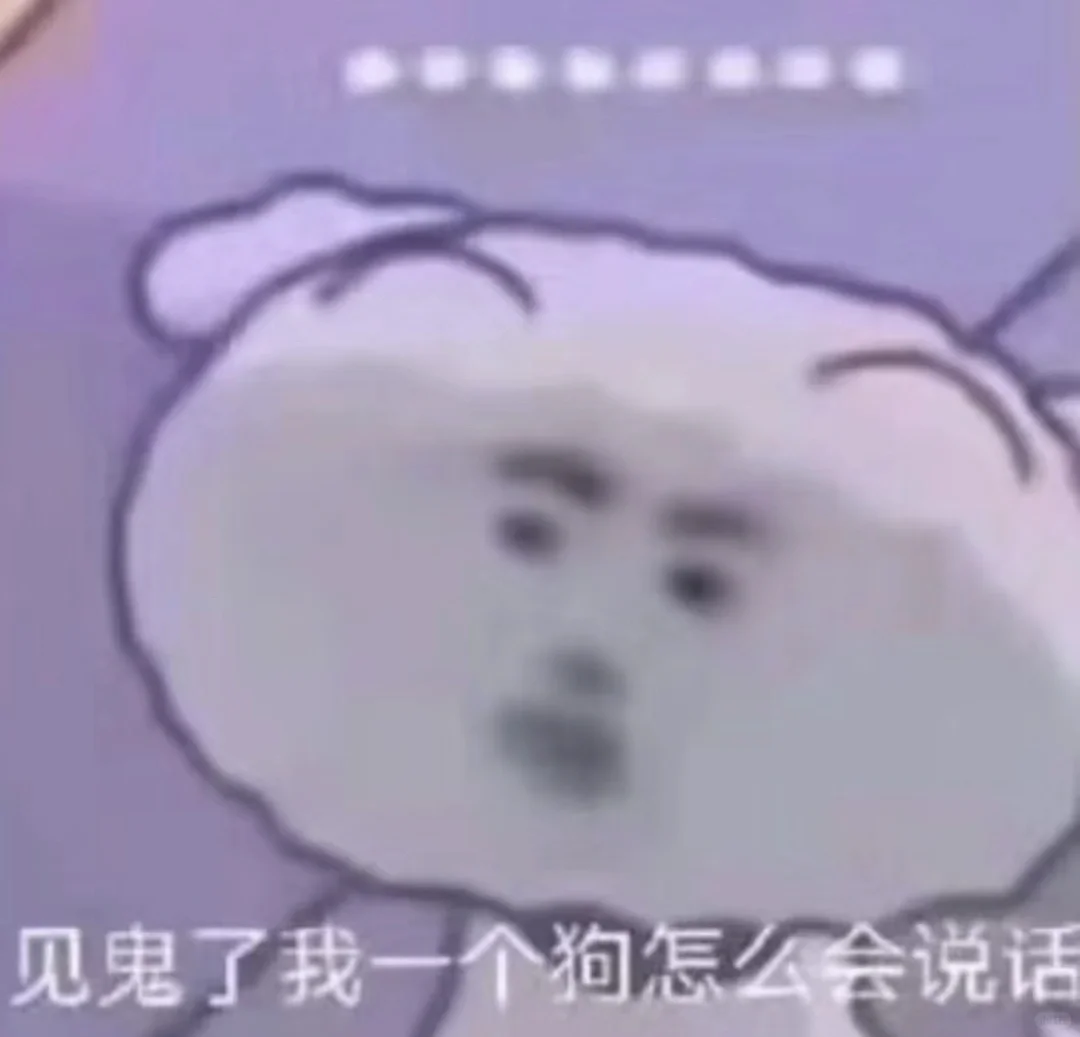 丝袜真的难买