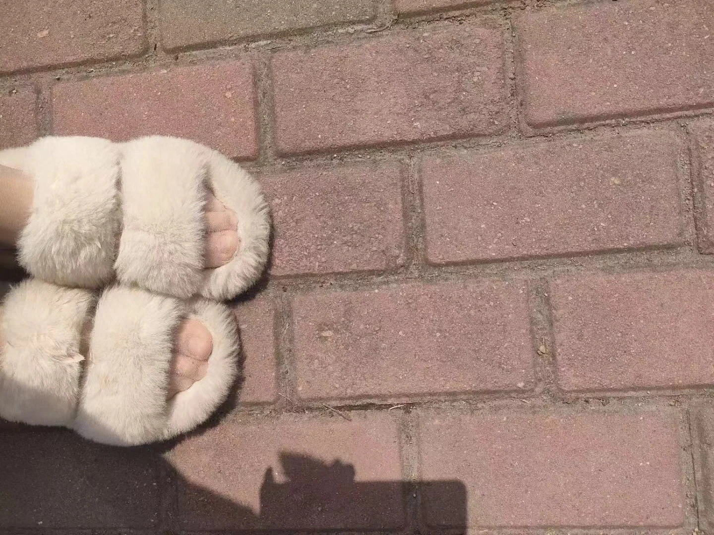 拖鞋是本命