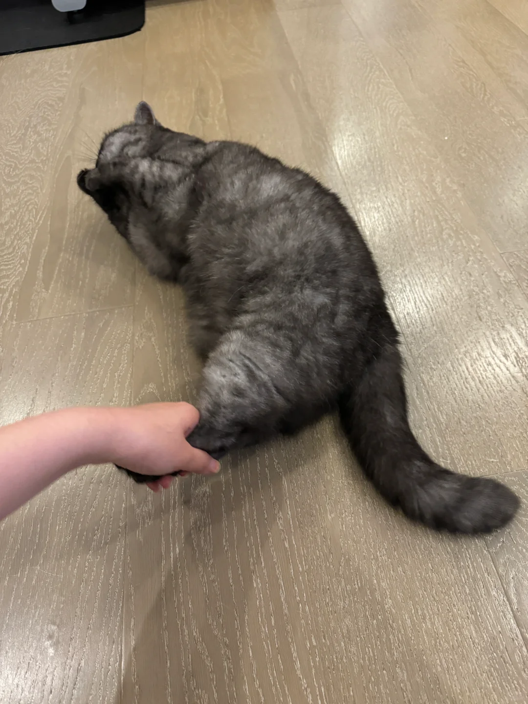 是她主动的(///▽///)