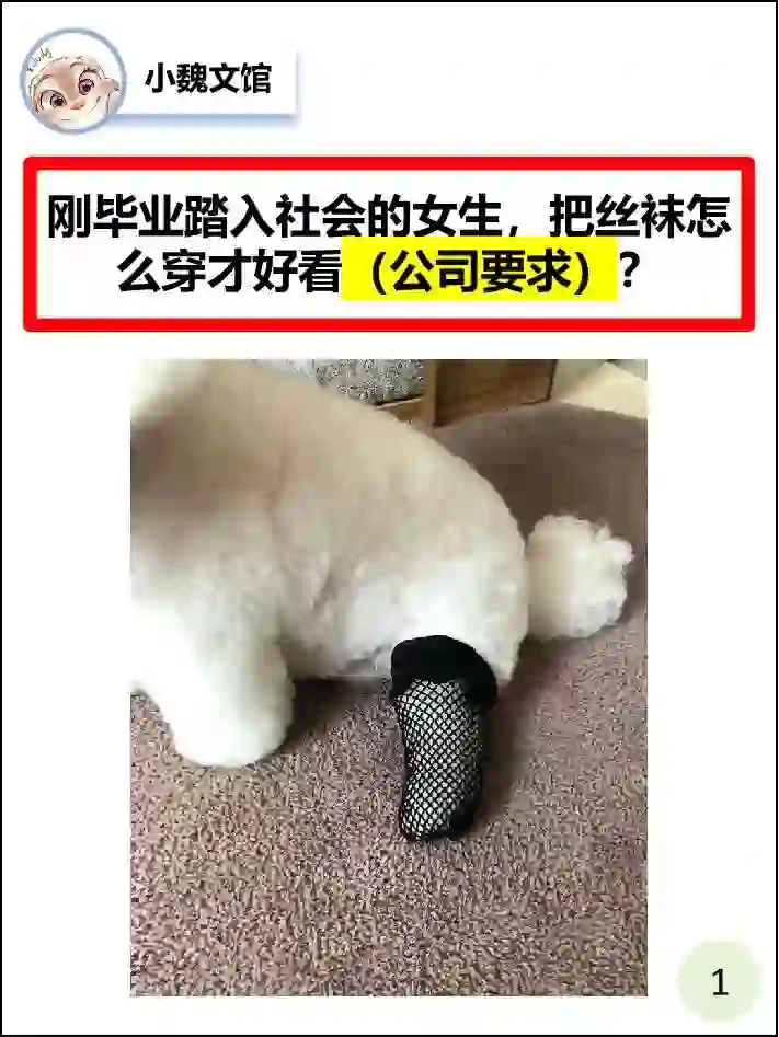 5.26小魏文馆｜什么样的丝袜上班不社死？