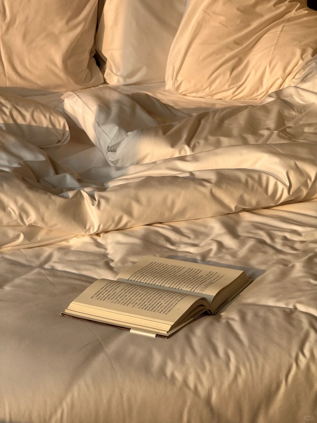 📖A whole NEW look.