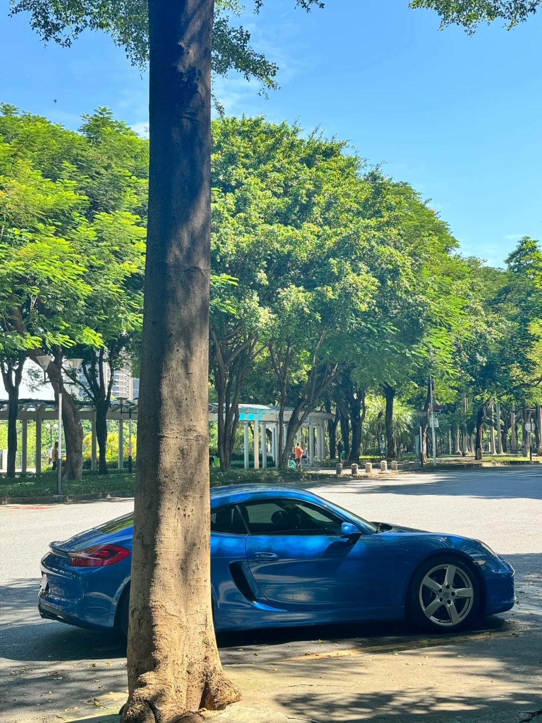 谁的小屁屁这么性感