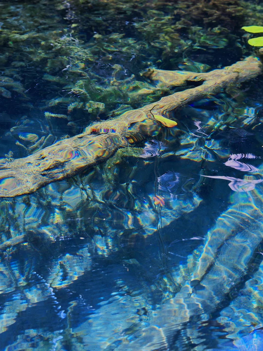 甲米日记👙 𓈒𓂂𓇼𓈒𓐍🐚🌴𓂂𓈒𓏸🥥𓈒