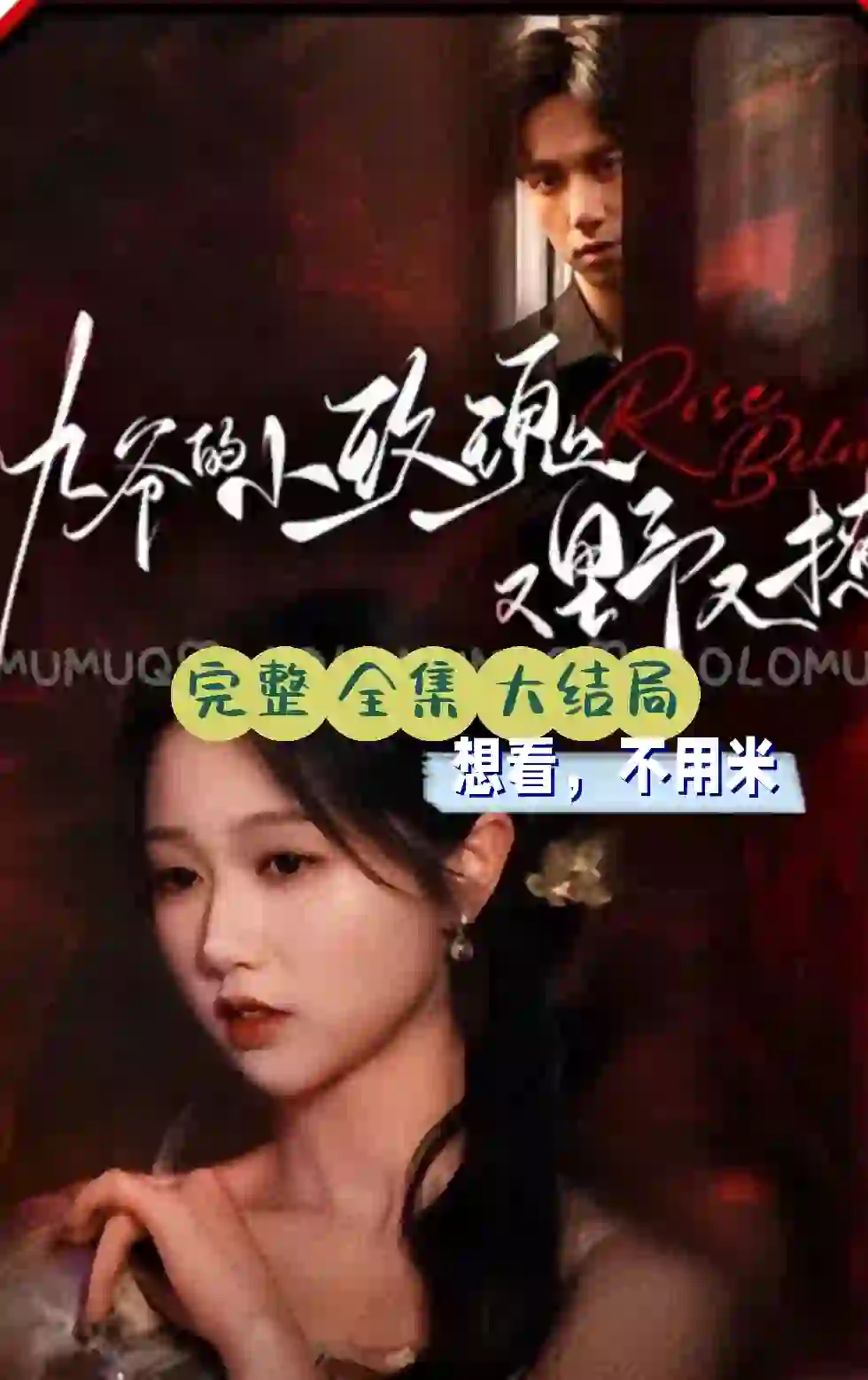 热剧推荐🔥《九爷的小玫瑰又野又撩》大结局