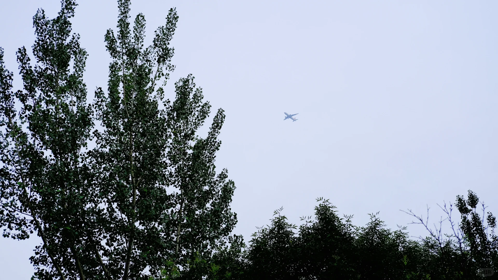 让我看看,还有哪个城市在穿短袖短裙🫣