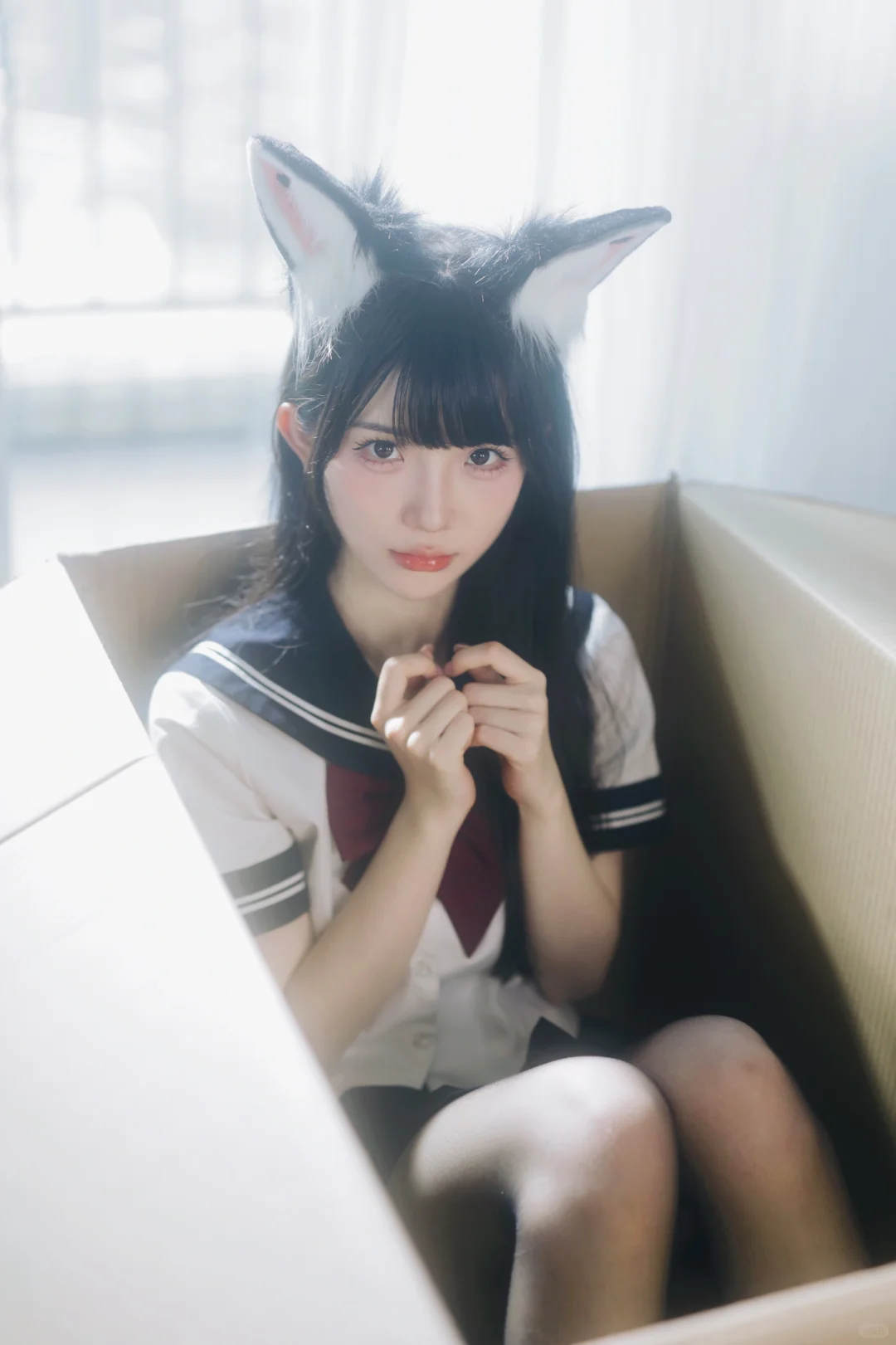 小猫咪诶嘿嘿