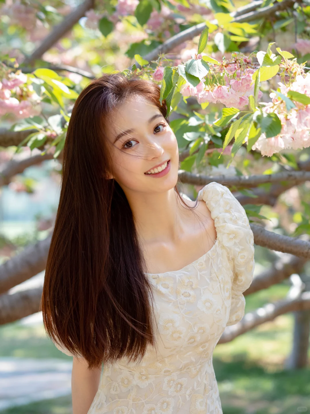晚樱写真｜人间温柔🌸