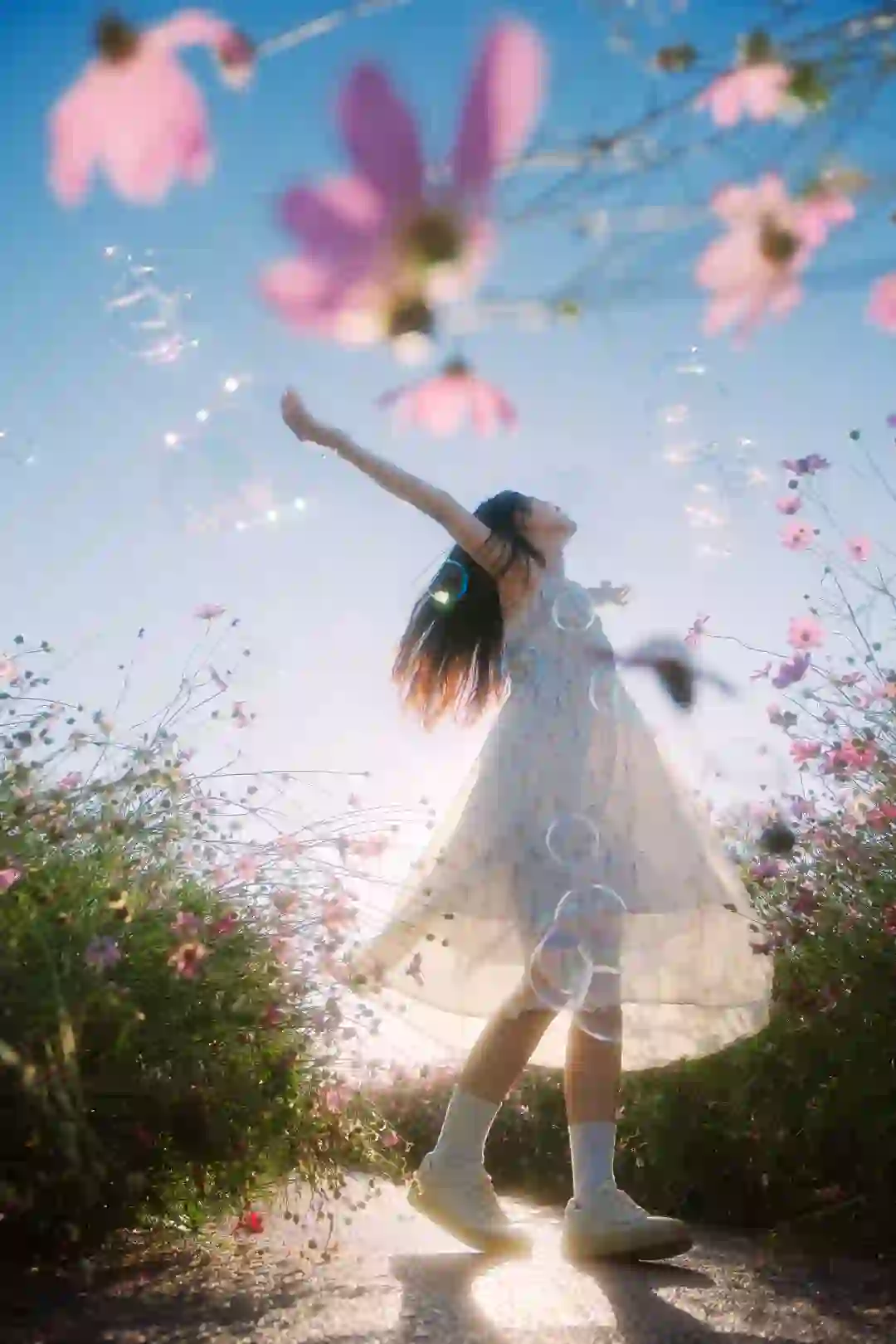 朋友说我把格桑花拍出了电影感