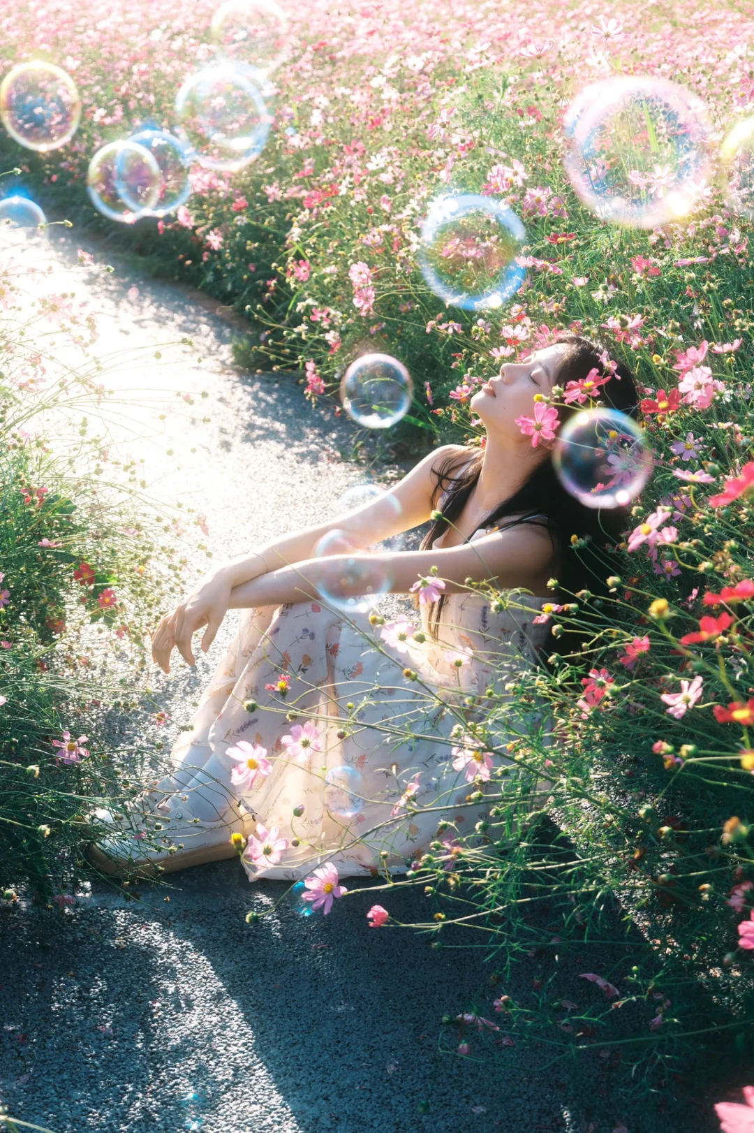 朋友说我把格桑花拍出了电影感