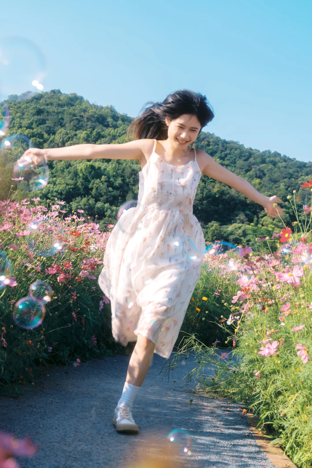 朋友说我把格桑花拍出了电影感