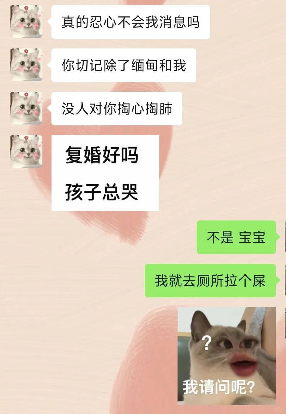 《当两个很有梗的人恋爱时》