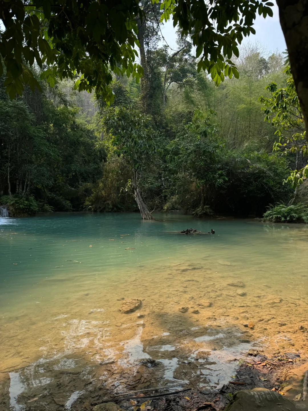 不许叫我虾线 #laos 🇱🇦