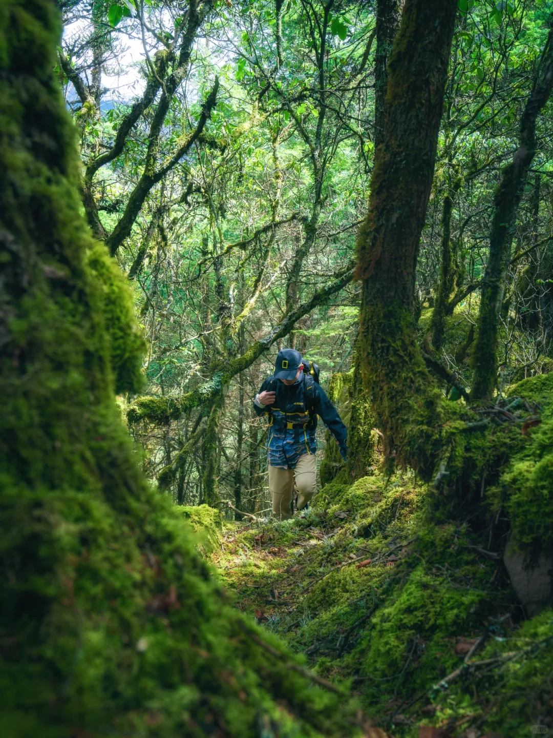 我很少用震撼来形容一个地方❗️直到…..