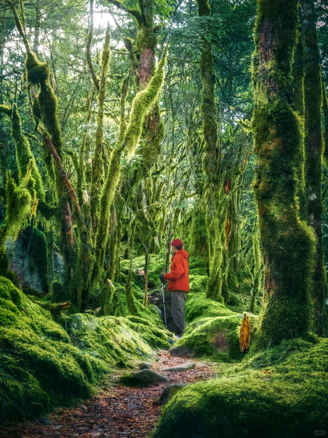 我很少用震撼来形容一个地方❗️直到…..