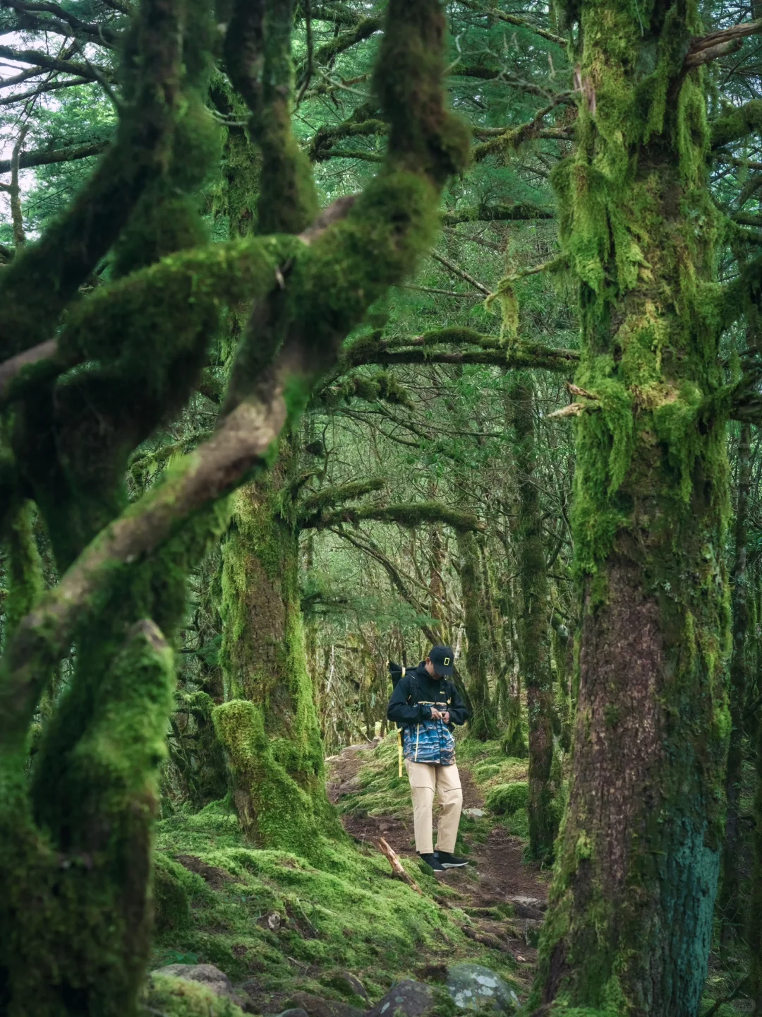 我很少用震撼来形容一个地方❗️直到…..