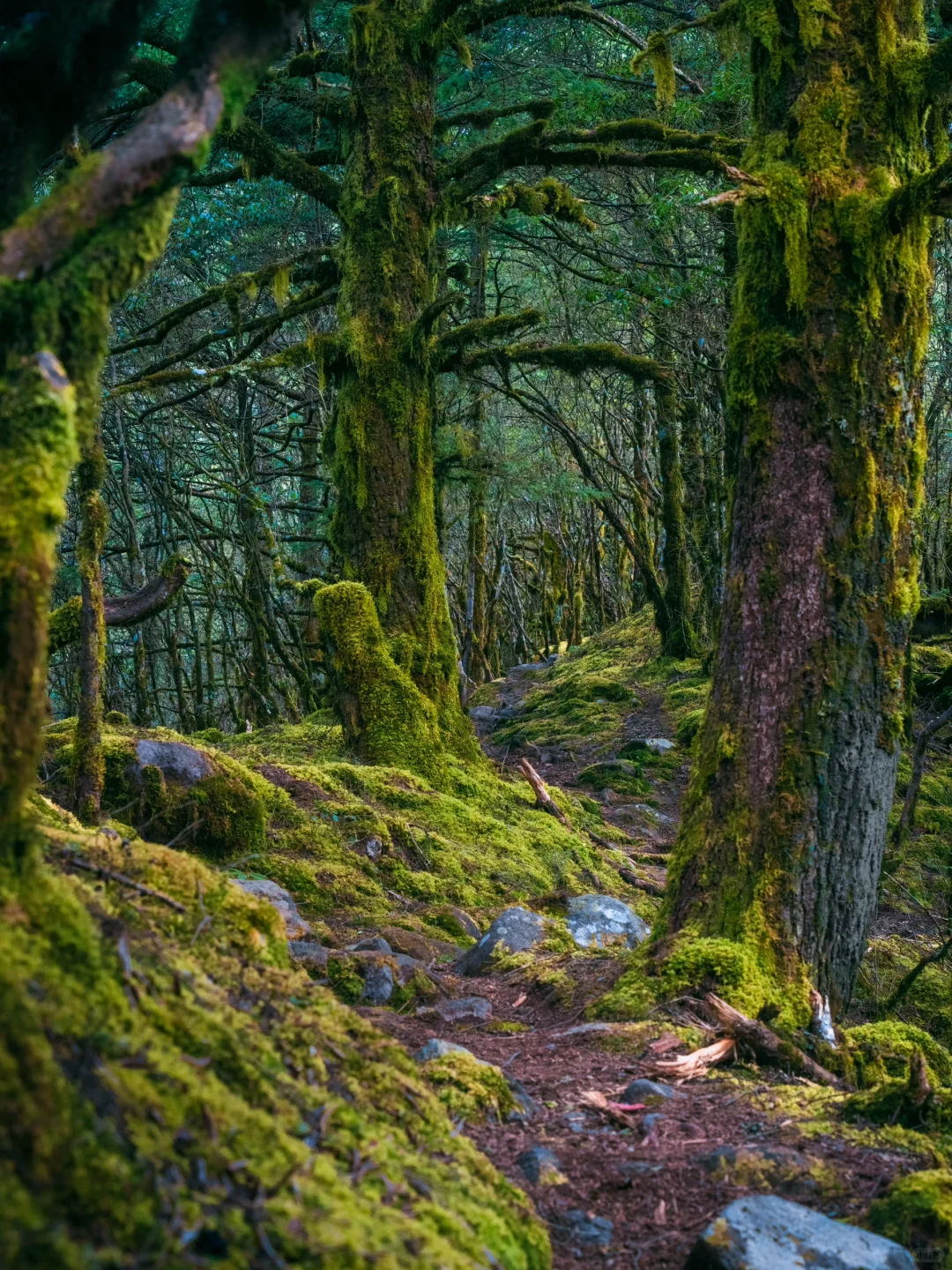 我很少用震撼来形容一个地方❗️直到…..