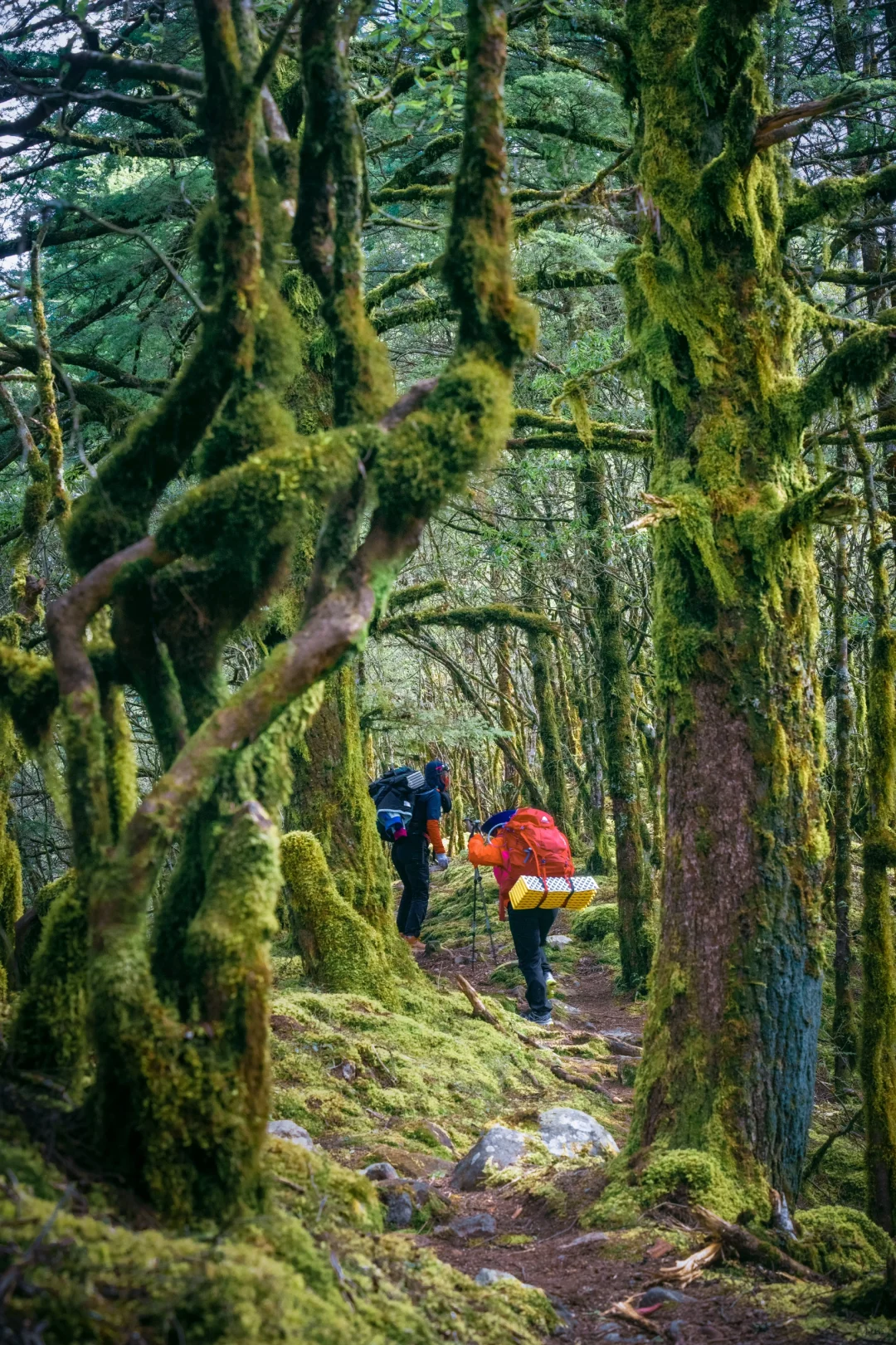 我很少用震撼来形容一个地方❗️直到…..
