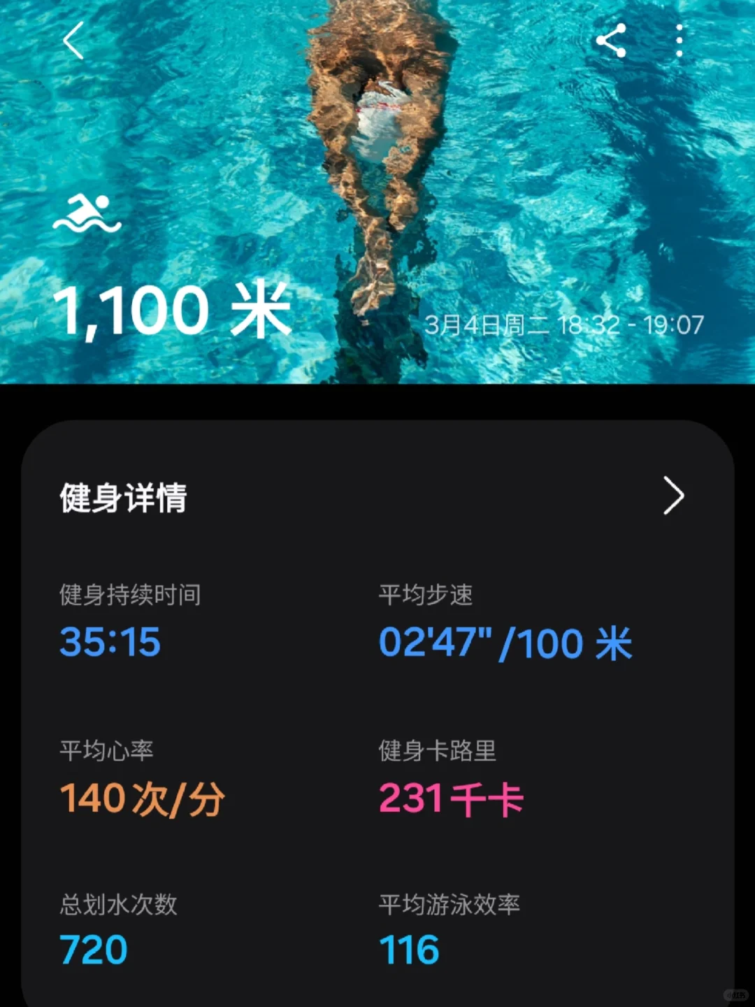 新手就是爱拍照