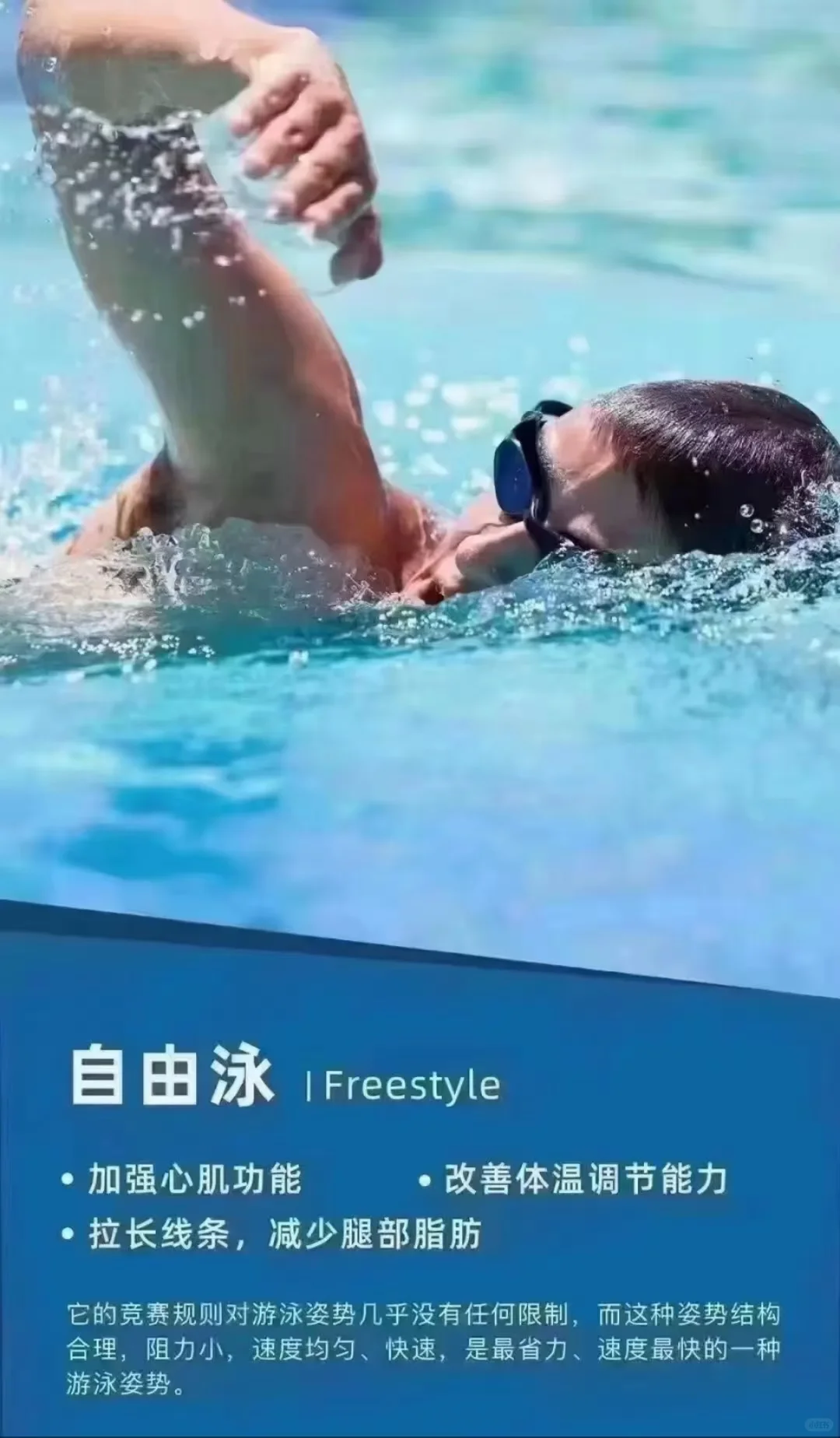 夏天学蛙泳，秋冬游个泳～