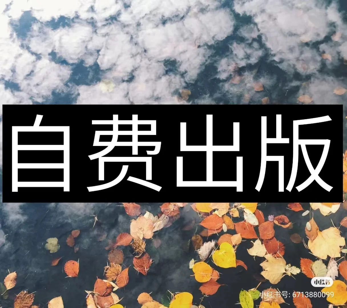 电子书号