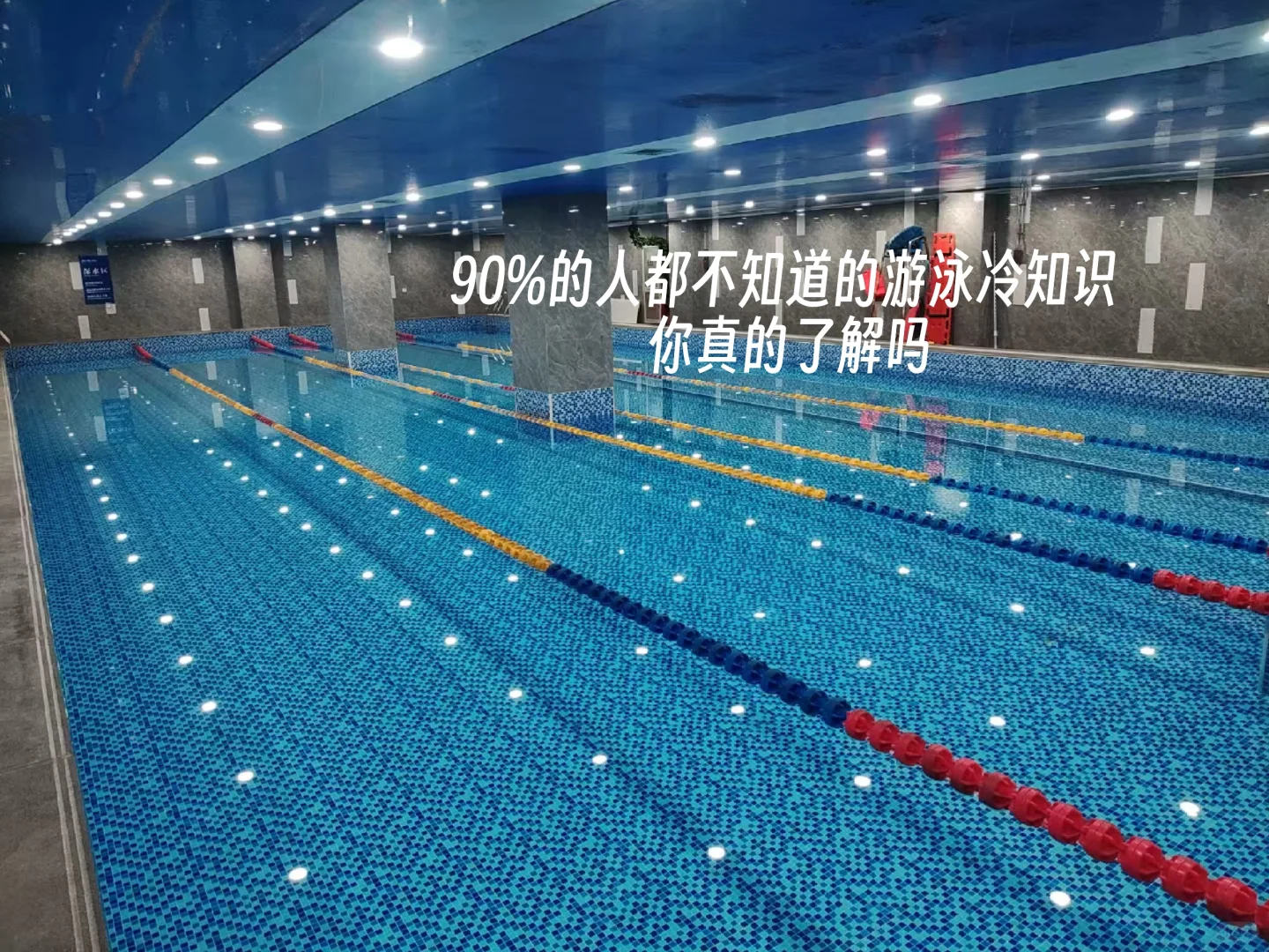 🏊‍♀️【游泳小白必看】你真的了解游泳