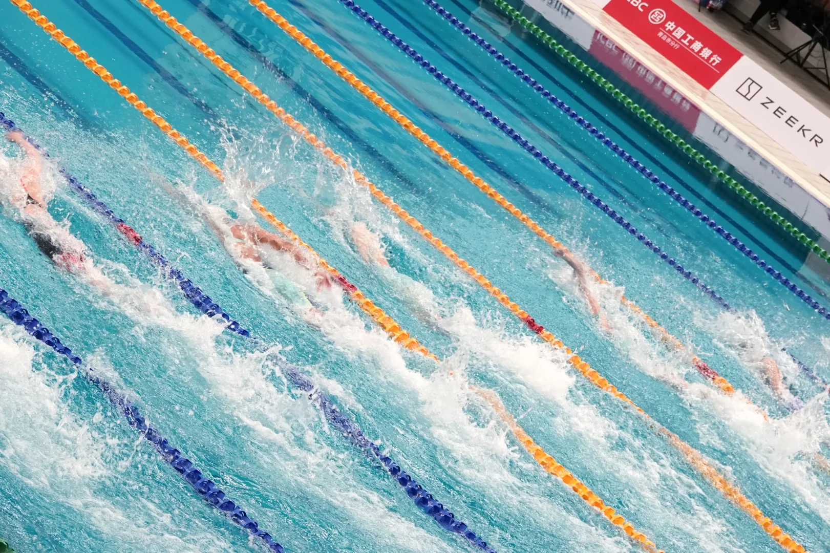 女自排排坐，跃池逍遥游