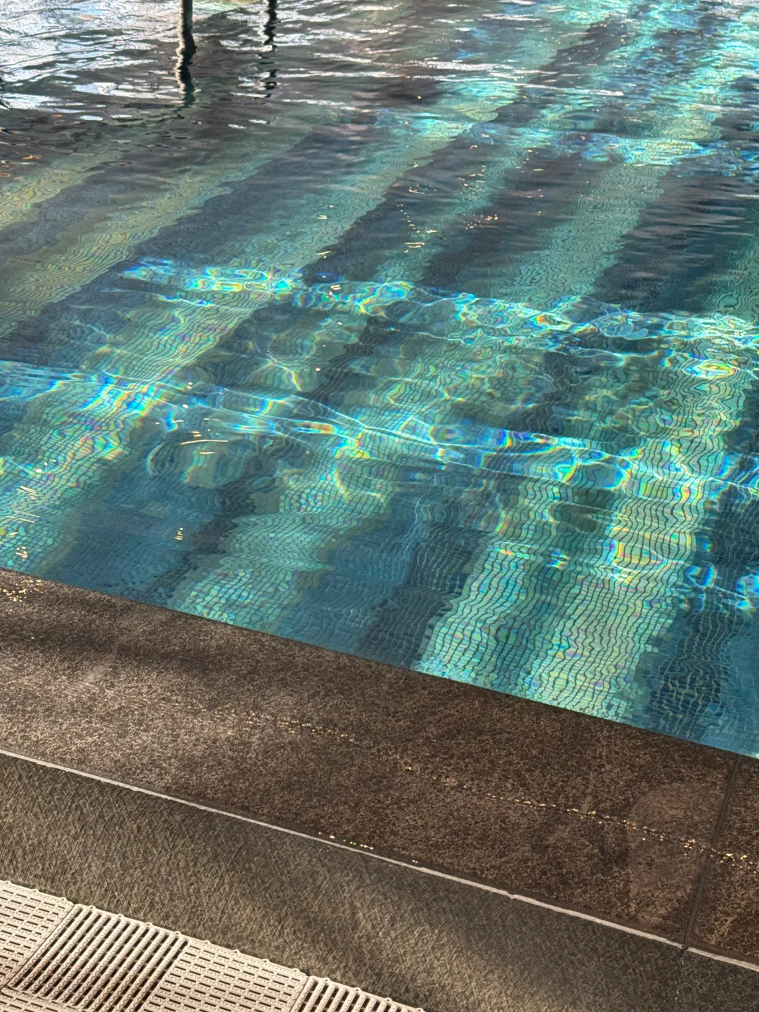 泳池日记