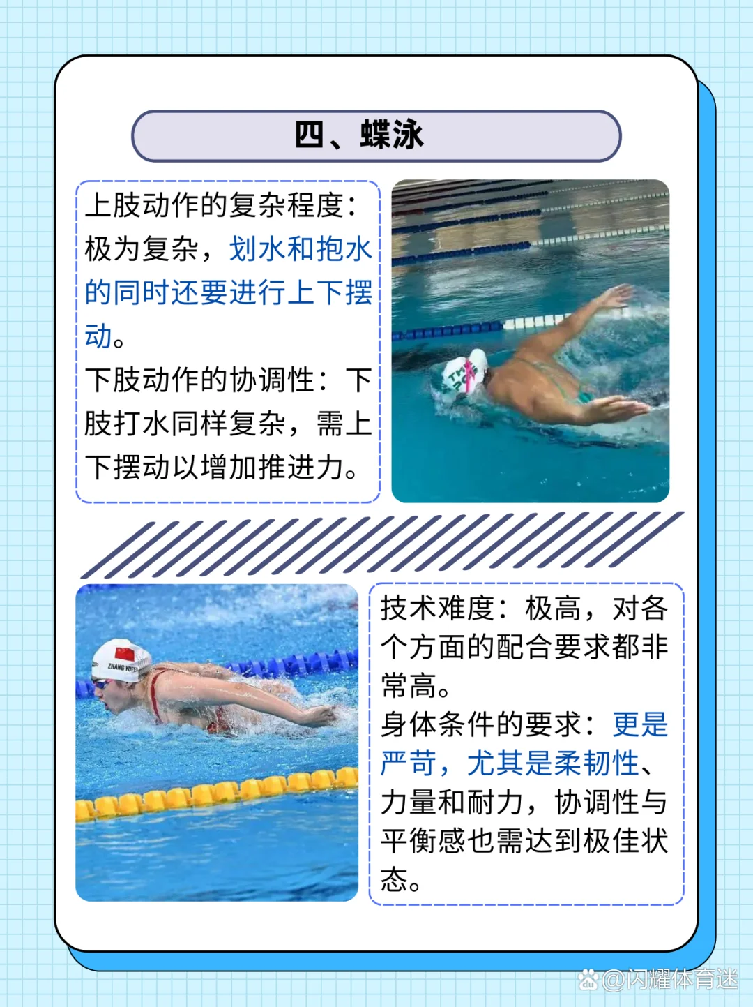 不同泳姿对身材的影响