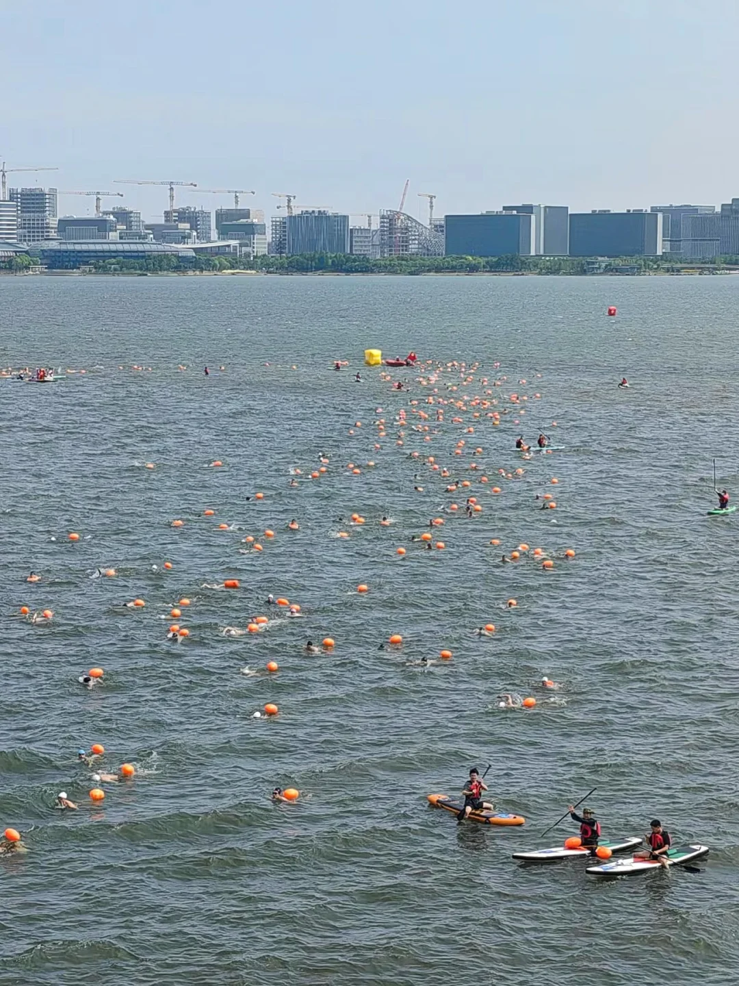 滴水湖泳渡1000米女子28名！