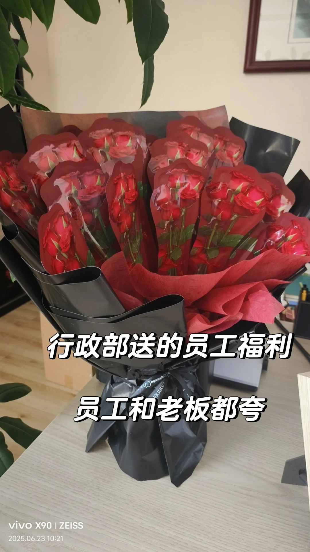 行政部终于开窍了！！今年生日福利是能敷的