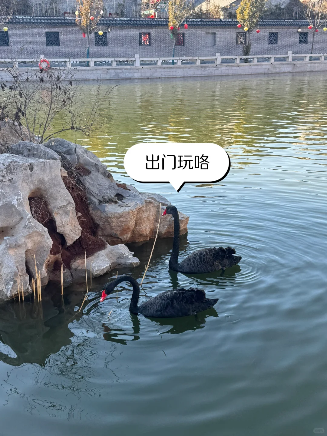 00女大勇闯“寄p”