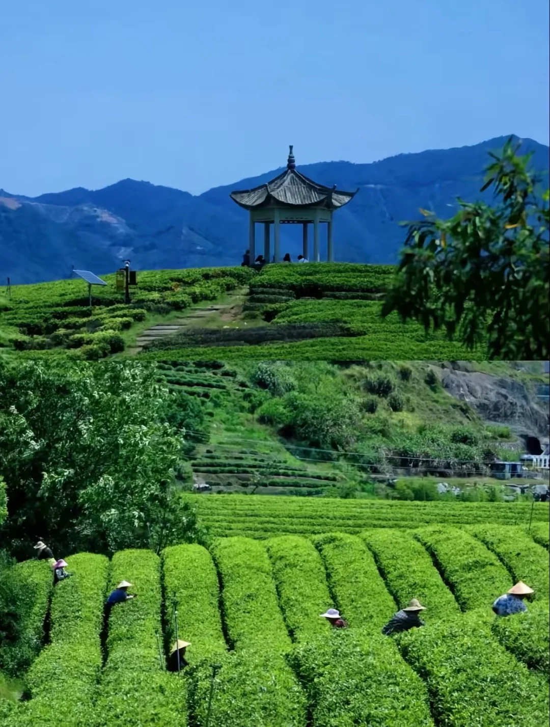 三天两夜，邂逅江南最后的秘境松阳🌄