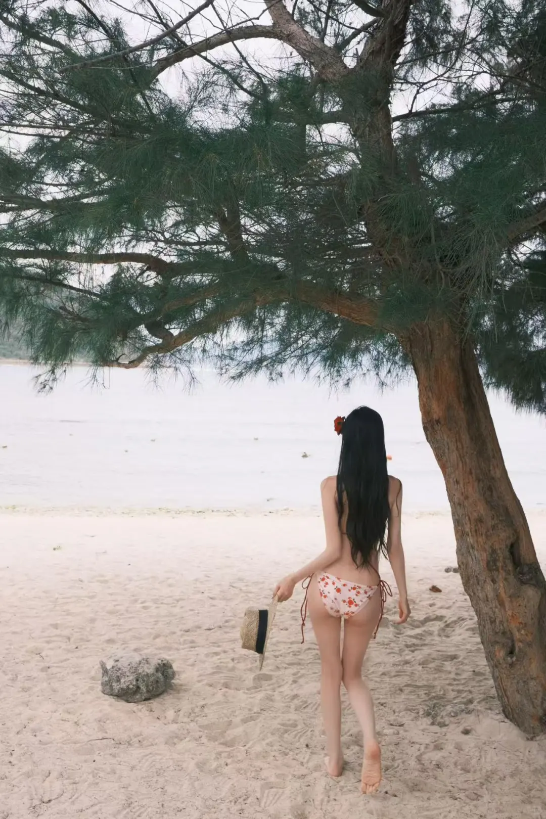 一起吹夏日的海风 🌴