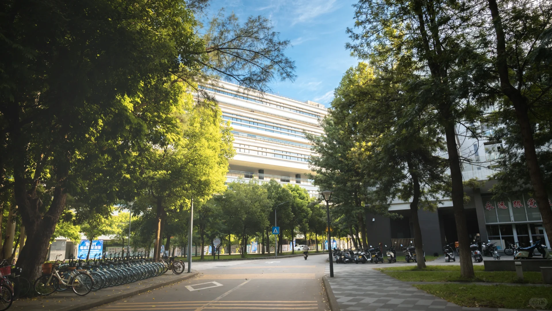 桑浦山校区 | 依山筑梦,以光为引